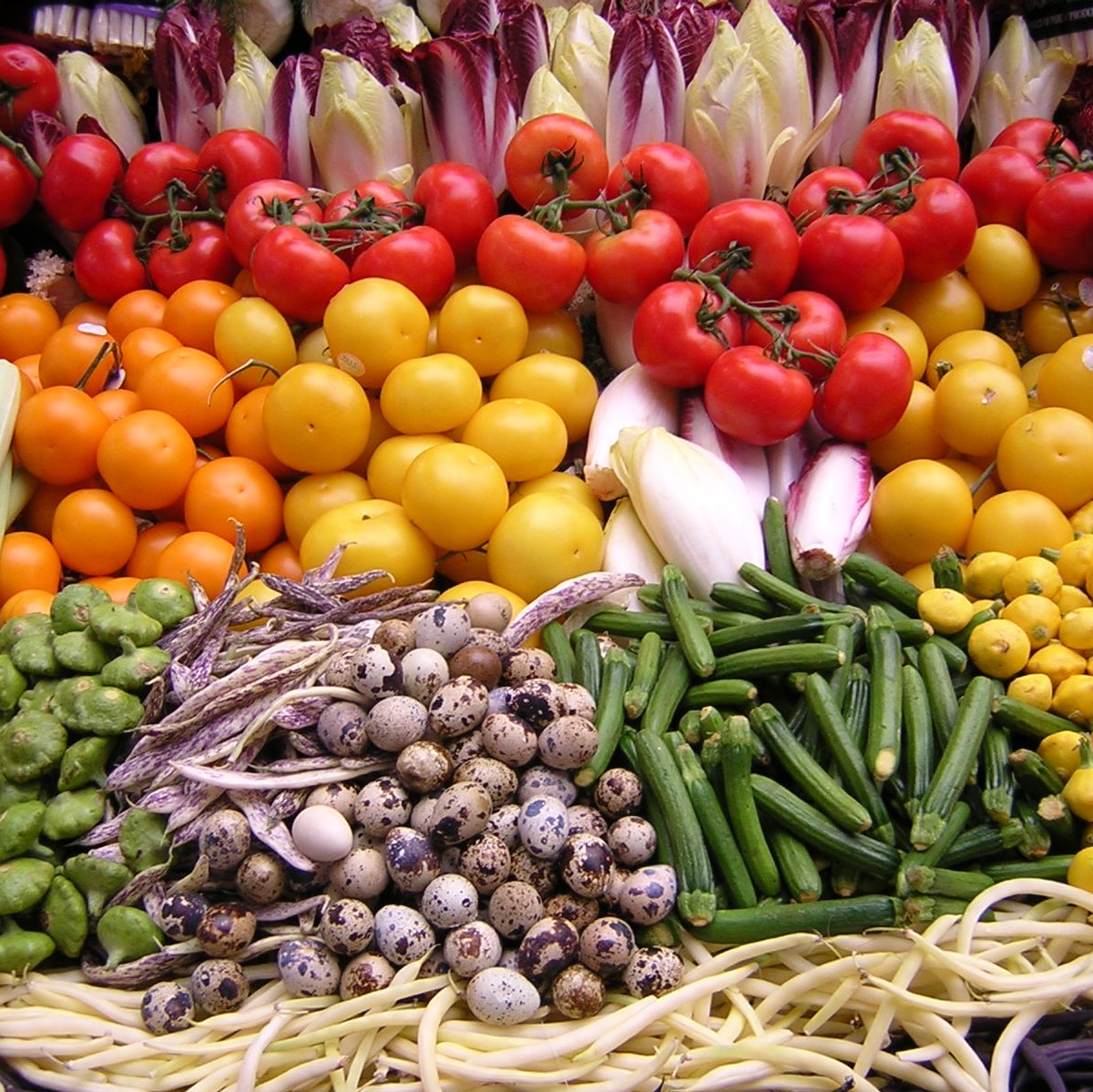 Photo of beautifully arranged food